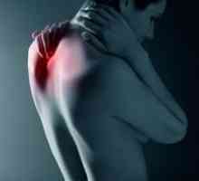 Osteochondrosis vratne i prsne kralježnice