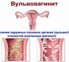 Pinworms u rodnici, genitalije, maternice, rodnice enterobiosis