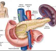 Akutni pankreatitis u dijabetes