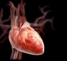 Patologija srca ventila tijekom trudnoće