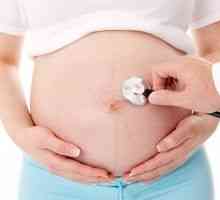 Posteljica tijekom trudnoće