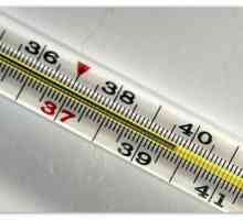 Proljev i temperatura 39-40 sa povraćanje kod djece i odraslih