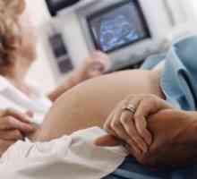Tricuspid bolesti kod trudnica