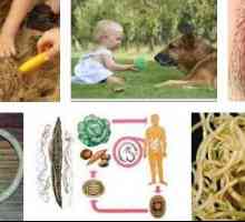 Uzroci crva (helminta, helminta) u djece i odraslih