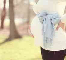 Prevencija hemoroida kod trudnica