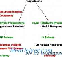 Sinteza progesteron, metabolizam. progesteronske receptore