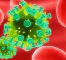 Rak kod zaražene HIV-om