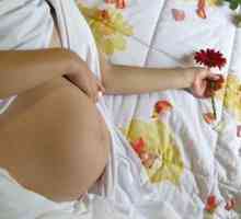 Ozljede genitalije tijekom trudnoće