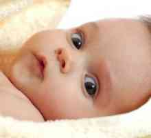 Rani razvoj dojenčadi mozga