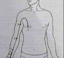 Mjesto i anatomija tijela bodova za aromaterapiju. Meridian perikard