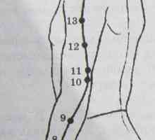 Mjesto i anatomija tijela bodova za aromaterapiju. Meridian tri plamenika