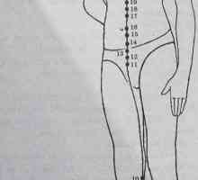 Mjesto i anatomija tijela bodova za aromaterapiju. bubrega Meridian