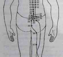 Mjesto i anatomija tijela bodova za aromaterapiju. mjehura Meridian