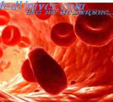 Eritrociti. Struktura i sastav crvenih krvnih stanica