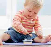 Razvoj djeteta od 1. i 10 mjeseci do 2 godine: motoričke sposobnosti, kreativnost, verbalnog,…