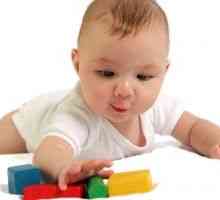 Razvoj djeteta od 1. i 7. mjeseca do 1 godine i 9 mjeseci: motoričke sposobnosti, kreativnost,…