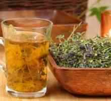 Recepti liječenje pinworms vazelin ulje, sjemenke bundeve i homeopatiju