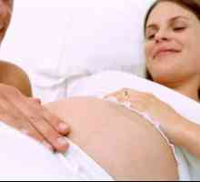 Uloga osobe u pratnji tijekom poroda