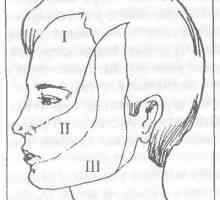 Uloga trigeminalnog živca u boli lica