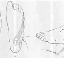 Ožiljak deformitet stopala i gležnja. nedostaci tretman plantarnu površinu stopala