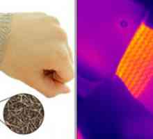 Srebrna nanoset zamijeniti zagrijavanje mast