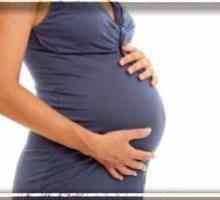 Sistemski eritemski lupus i trudnoća