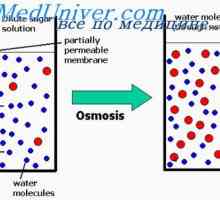 Odnos između osmotskog tlaka i osmolarnost. Osmolarnost tjelesnih tekućina