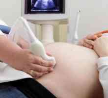 Testovi trudnoće za dolje. Test krvi za vrijeme trudnoće Downov sindrom