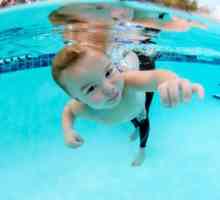 Kako naučiti plivati ​​bebu? Mnogi roditelji pokušavaju naučiti svoju djecu da plivaju što je…