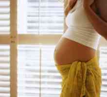 Kako bi se utvrdilo koliko tjedana trudnoće. Kako odrediti gestacijsku dob? Određivanje vremena…