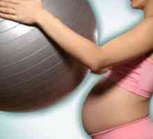 Mogu li igrati sportski trudna. Sport za vrijeme trudnoće. Kojim se sportom vi ne možete učiniti za…
