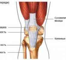 Kuka i koljena zglobovi odrasle
