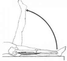 Ispitivanje skraćene mišićnih grupa s flexors koljena, što rezultira mišića natkoljenice