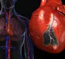 Traumatske lezije srca i krvnih žila