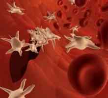 Trombociti u krvi: to znači da je brzina trombocita