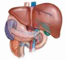 Tromboza jetrene arterije