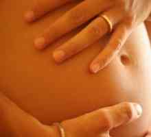 Jajovoda trudnoće