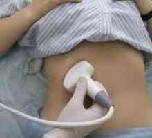 Ultrazvuk (ultrazvučna dijagnostika) gušterače, stopa veličini tijela
