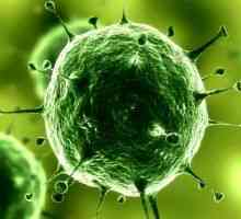 Virusi: vrste virusa, liječenje, uzroci, simptomi, znakovi, dijagnoza, prevencija