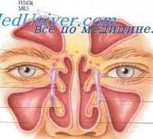 Nosne šupljine i tijelo. Odnos nosne šupljine na druge organe i sustave