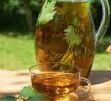 Zeleni čaj s pankreatitisom (pankreasa), Kombucha, mogu li piti?