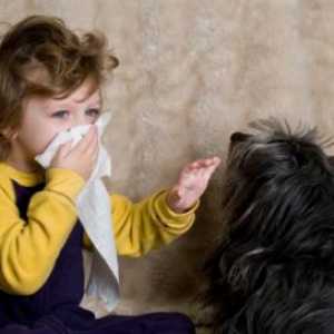 Alergije kod djece