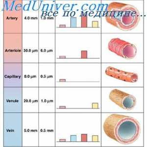 Metode za mjerenje venskog tlaka. Kapacitivni funkcija vene