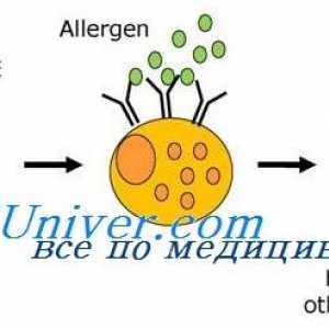 Razgovor (anamneza) za alergije u djeteta. Identifikacija alergen
