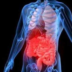 Gastroenteritis bolesti u odraslih, kod bolesti MKB 10