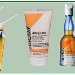 Bolesti kose i proizvoda za njegu kože. androgena alopecija