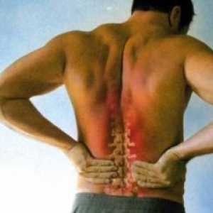Bol u leđima s boli u području ramena