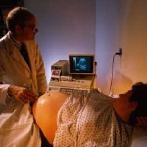 Zarazne bolesti u trudnoći