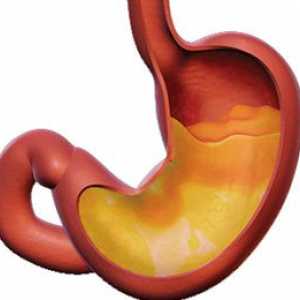 Kako Gastro utjecati na kiselost u želucu