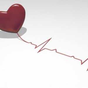 Kardio srce, liječenje, simptomi i uzroci